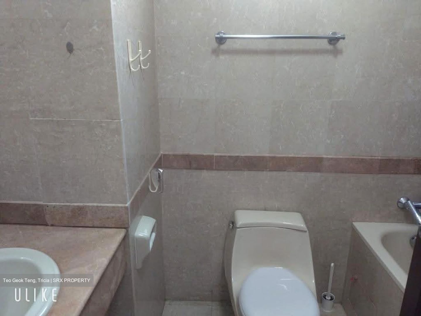 Tanglin Regency (D10), Condominium #607383821